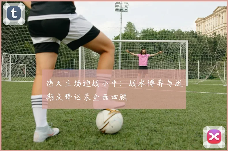 热火主场迎战小牛：战术博弈与近期交锋记录全面回顾