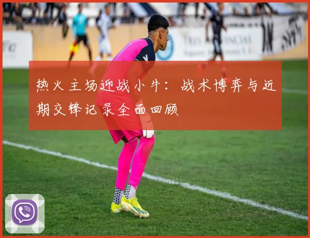 热火主场迎战小牛：战术博弈与近期交锋记录全面回顾